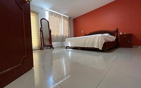 Beautiful Private House In The Downtown With 3 Floors